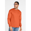 ULTRA COTTON™ ADULT LONG SLEEVE T-SHIRT