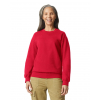 SOFTSTYLE® MIDWEIGHT FLEECE ADULT CREWNECK