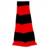 Team Scarf