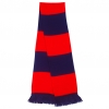 Team Scarf