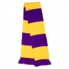 Team Scarf