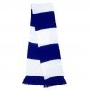 Team Scarf