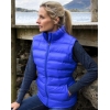 Ladies' Ice Bird Padded Gilet