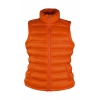 Ladies' Ice Bird Padded Gilet