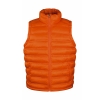 Men Ice Bird Padded Gilet