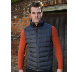 Men Ice Bird Padded Gilet