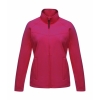 Ladies Uproar Softshell