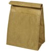 Brown Paper Bag Cooler