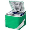 Tromso 4 can cooler bag