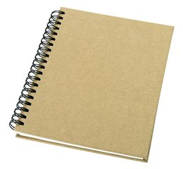 Mendel notebook