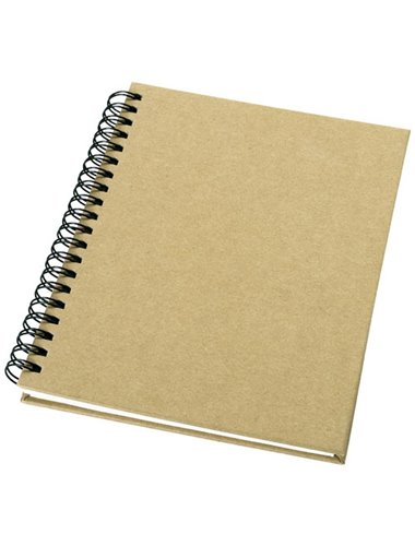 Mendel notebook