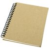 Mendel notebook