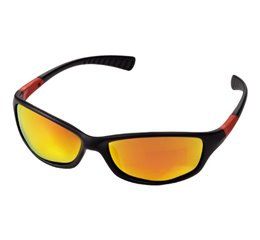 Robson sunglasses