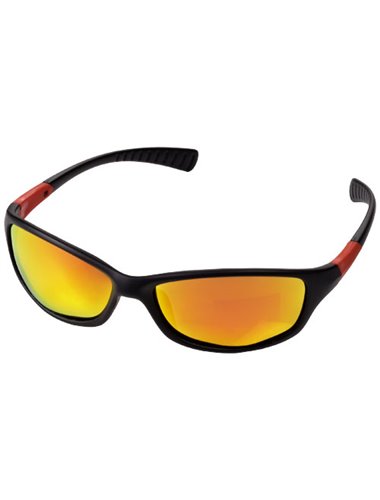 Robson sunglasses