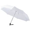 21.5" Alex 3-section auto open and close umbrella