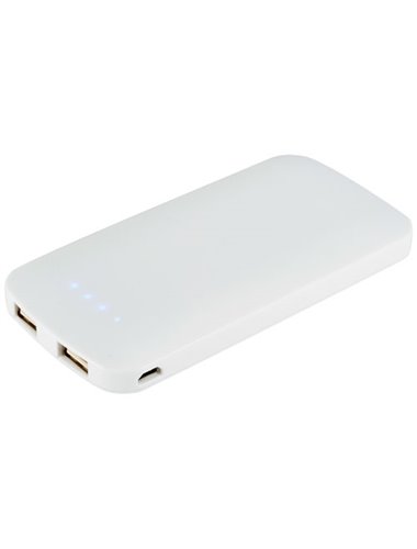 PB-4000 Zippy Slim Dual Power bank