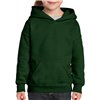 HEAVY BLEND™ YOUTH HOODED SWEATSHIRT