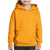 HEAVY BLEND™ YOUTH HOODED SWEATSHIRT