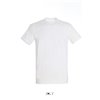 IMPERIAL MEN ROUND COLLAR T-SHIRT