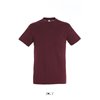 REGENT UNISEX ROUND COLLAR T-SHIRT