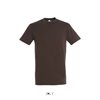 REGENT UNISEX ROUND COLLAR T-SHIRT