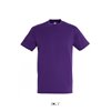 REGENT UNISEX ROUND COLLAR T-SHIRT