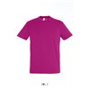 REGENT UNISEX ROUND COLLAR T-SHIRT