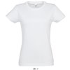 IMPERIAL WOMAN ROUND COLLAR T-SHIRT