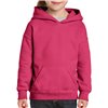 HEAVY BLEND™ YOUTH HOODED SWEATSHIRT