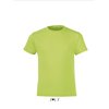 REGENT FIT KIDS ROUND COLLAR T-SHIRT