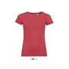 MIXED WOMEN ROUND COLLAR T-SHIRT