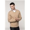 PREMIUM V-NECK JUMPER