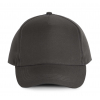 POLYESTER CAP - 5 PANLES