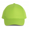 POLYESTER CAP - 5 PANLES