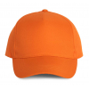 POLYESTER CAP - 5 PANLES