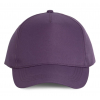 POLYESTER CAP - 5 PANLES