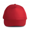 POLYESTER CAP - 5 PANLES