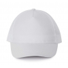 POLYESTER CAP - 5 PANLES