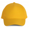 POLYESTER CAP - 5 PANLES