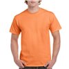 ULTRA COTTON™ ADULT T-SHIRT