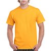 HEAVY COTTON™ ADULT T-SHIRT