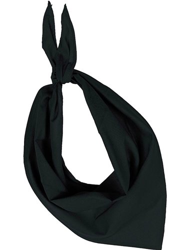 FIESTA - BANDANA FIESTA - BANDANA