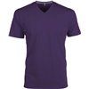 MEN'S SHORT-SLEEVED V-NECK T-SHIRT