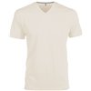 MEN'S SHORT-SLEEVED V-NECK T-SHIRT