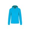 MEN'S ECO-FRIENDLY HOODED SWEATSHIRT