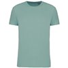 BIO150IC MEN'S ROUND NECK T-SHIRT