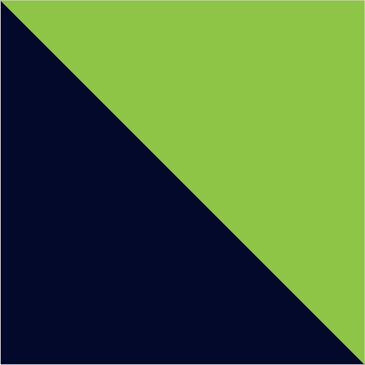 Fluor Green-Navy Blue (22255)