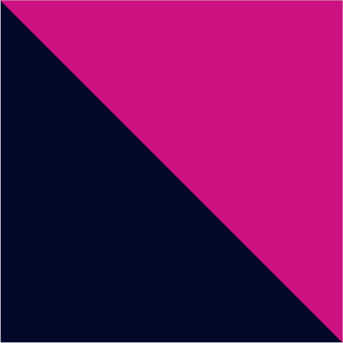 Fucshia-Navy Blue