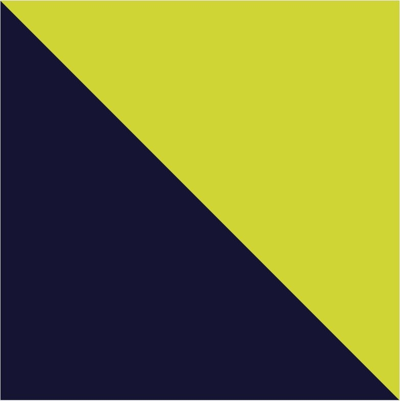 Navy Blue-Fluor Yellow (55221)