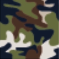 Forest Camouflage (232)